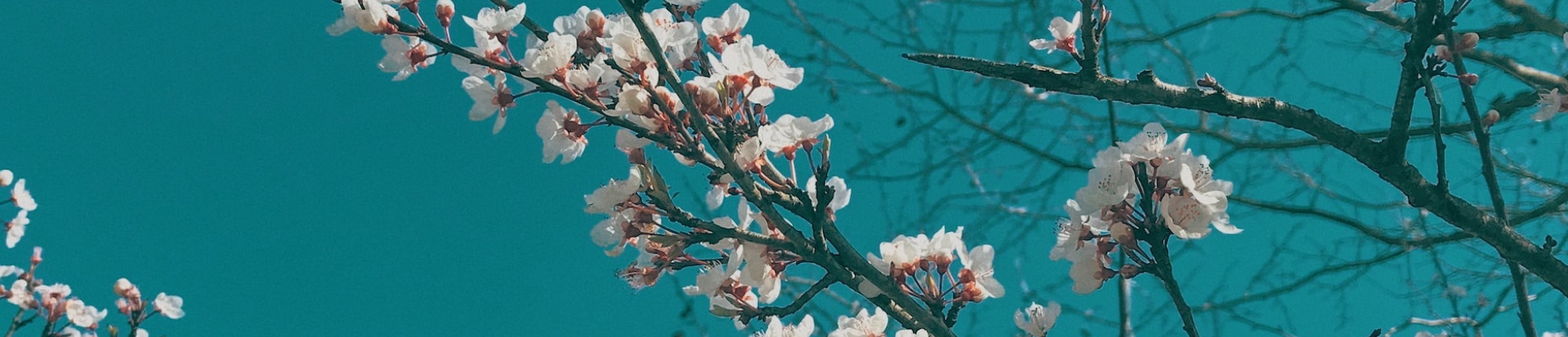 Presentation of the Guide to Intergenerationality: Transforming the Challenges of Longevity Societies into Opportunities