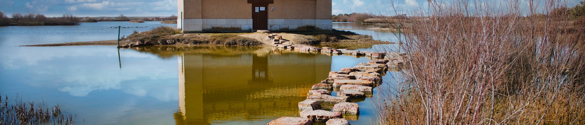 CENIE da a conocer los resultados del proyecto Soliedad en Zamora