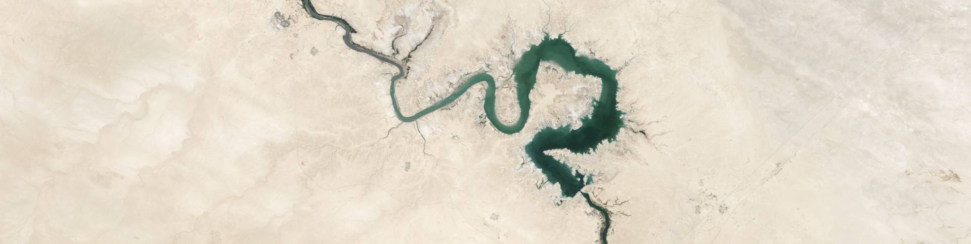 ‘Salud financiera: pensando en el futuro’  Curso online para conocer mejor nuestras decisiones financieras  