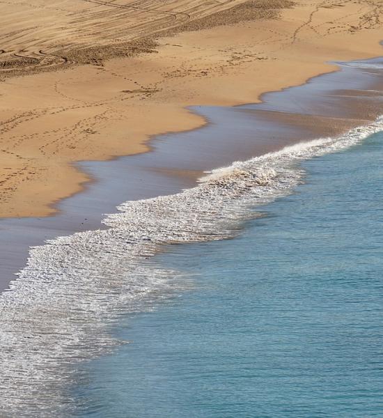 III Workshop on Healthy Ageing "Living well, ageing better" is held with a large number of attendees 