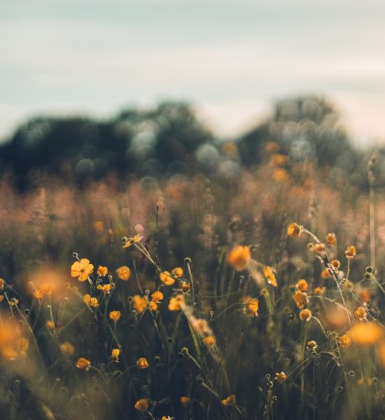 Vencedores do concurso Interreg Cooperation Day 2023