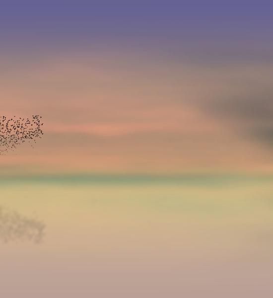 Meeting of researchers "Research and ageing: answers to give quality to life".