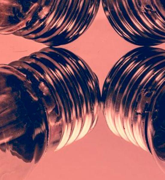 The first Think Tank on Longevity