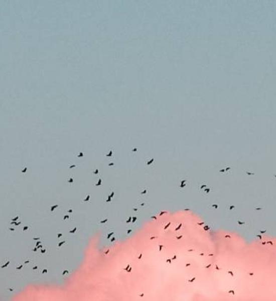 "Ageing and home: how to adapt the environmental conditions of spaces for the elderly".