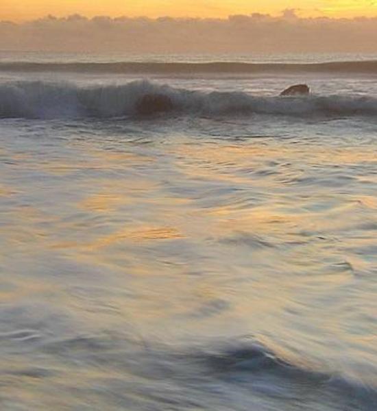 Buscamos ganador para el concurso de fotografía "Vidas longevas: la vitalidad constante"