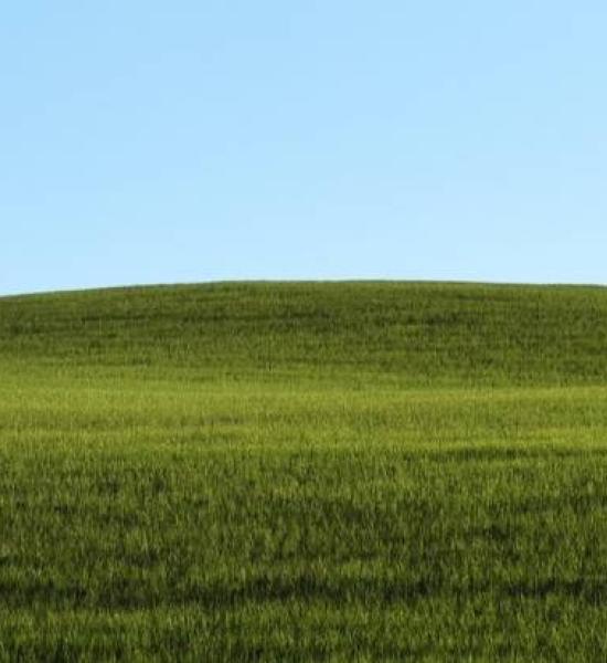 5th Meeting - "Prevention of fall risk: biomechanical validation and reliability analysis of Equimetrix - a portable device for balance assessment and training". 