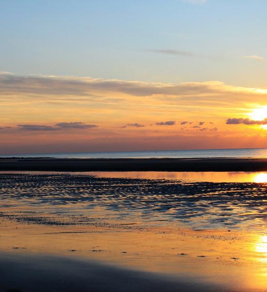 III Workshop "Living well, ageing better".