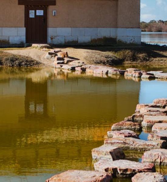 CENIE da a conocer los resultados del proyecto Soliedad en Zamora