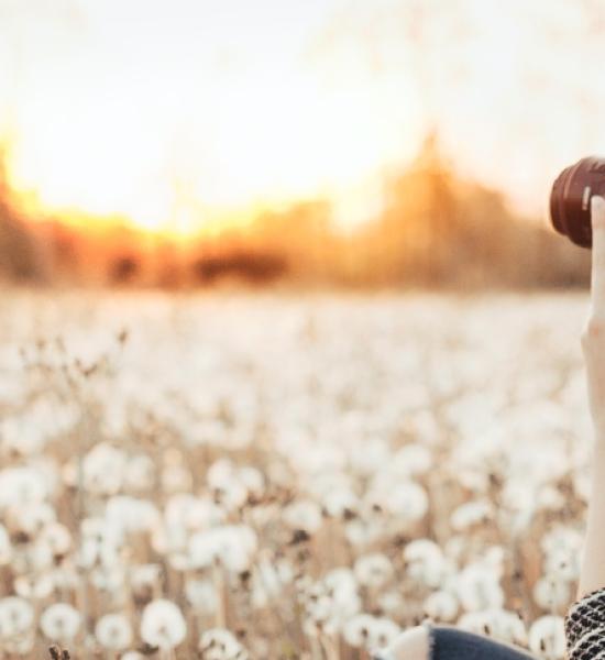 Um júri de renome avalia a 4ª edição do concurso de fotografia de cenie
