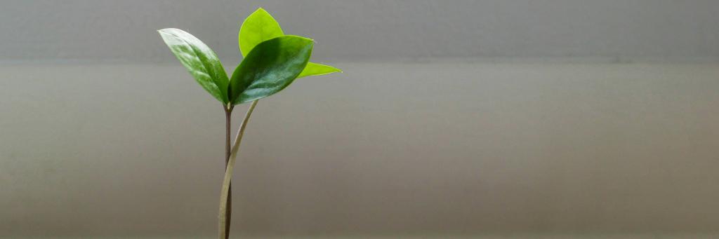 Congreso Economía de la longevidad